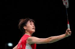 AYX官方直播-丹麦队轻取马来西亚队，陈雨菲高光表现的简单介绍