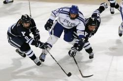 爱游戏在线-战术的胜利，勒沃库森体系如何压制哥伦比亚，德布劳内攻防统治的艺术