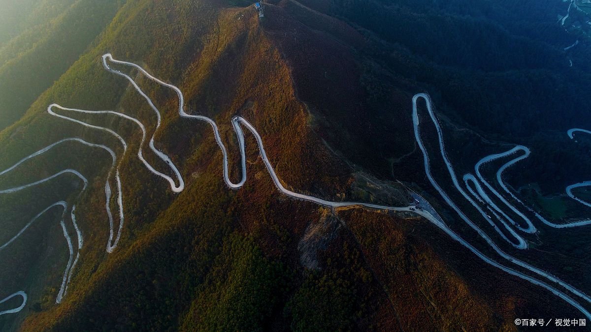 包含新秀闪耀夺目风采，夺冠路途曲折蜿蜒的词条