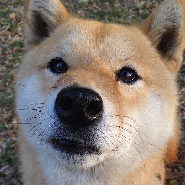 勇士最后时刻击败雄鹿，一场定义赛季的年度焦点之战