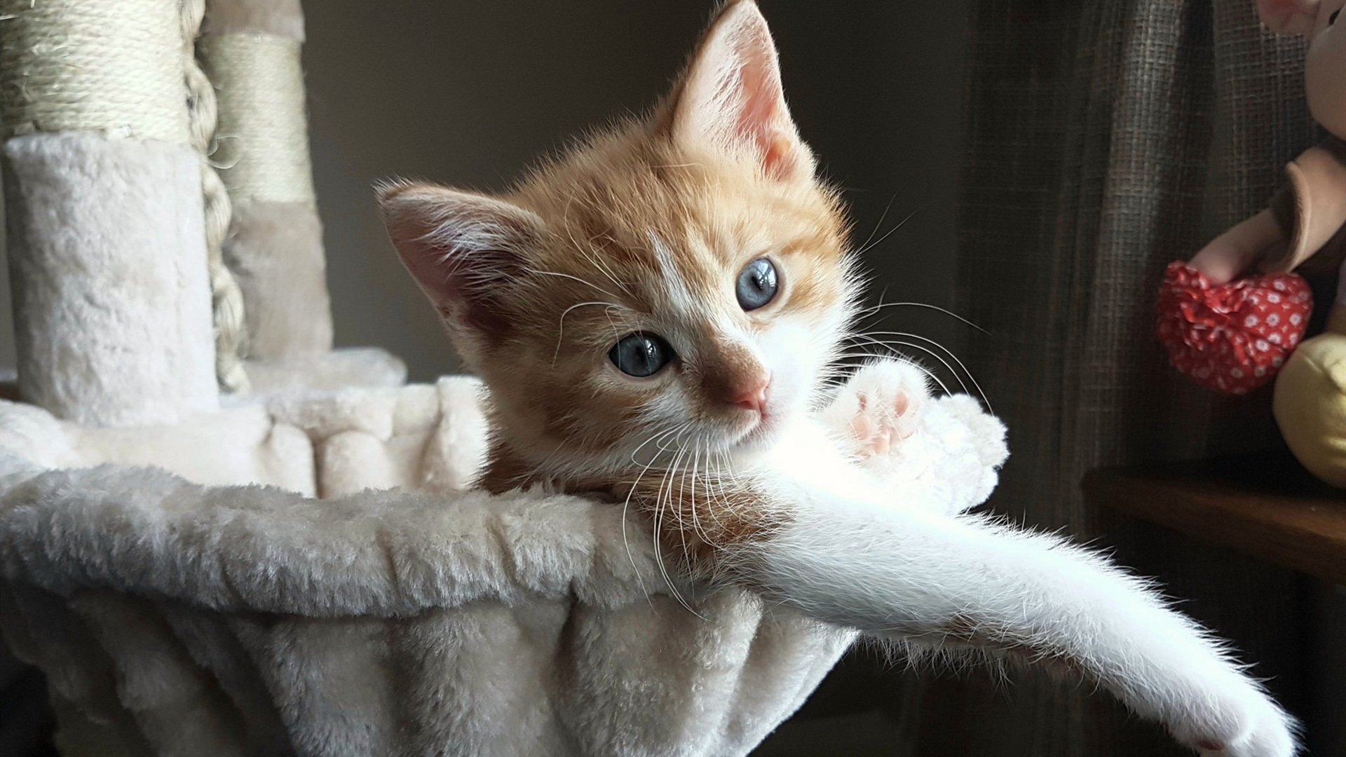 马刺强势拿下爵士，字母哥成为关键先生，一场定义赛季的胜利