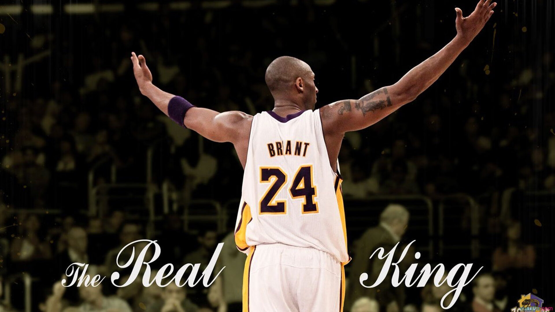 萨克拉门托的第七夜，当福克斯成为唯一的光