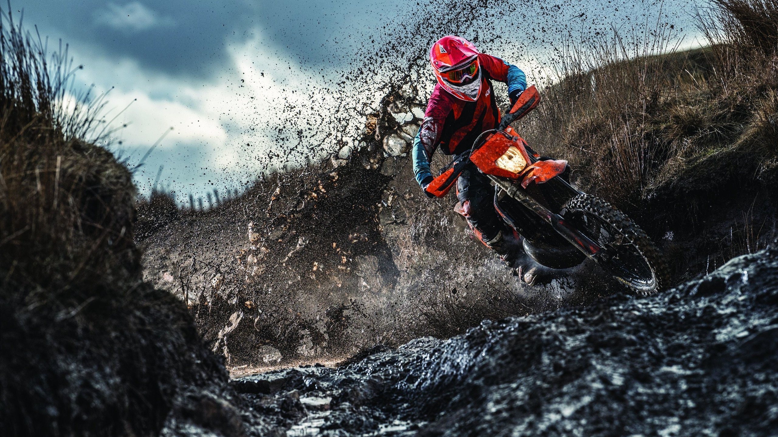 凯塞多一锤定音！新西兰决胜局力克突尼斯，上演绝地逆转好戏