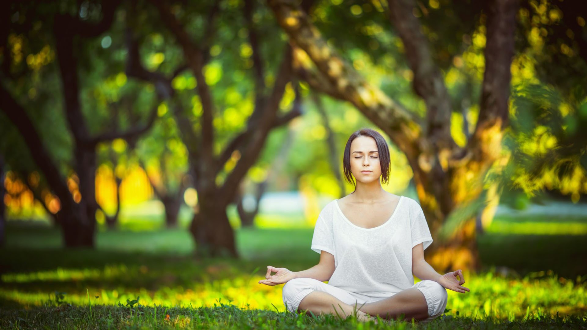 一锤定音,唯此一刻,Impact的神启开团与100T的季后赛涅槃